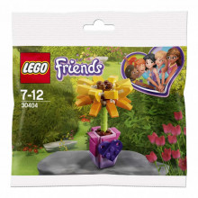  LEGO Цветок дружбы 30404