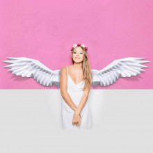 3D-конструктор Модель "КРЫЛЬЯ" на стену PP-1WNG-WHT PAPERRAZ