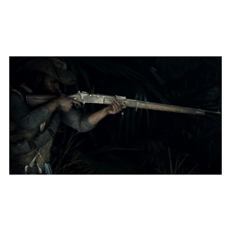 Игра для Play Station 4:  Hunt: Showdown 4020628735029