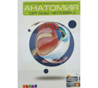 Энциклопедия 4D в дополненной реальности "Анатомия: органы человека"  159312