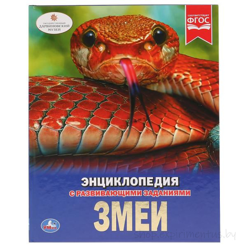 ЗМЕИ (ДЕТСКАЯ ЭНЦИКЛОПЕДИЯ А4) 978-5-506-02697-6 Издательский дом Умка ...