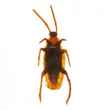 Прикол "Таракан" набор 12 штук 2862217