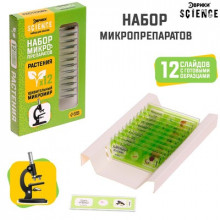 ЭВРИКИ Набор для опытов "Набор микропрепаратов", растения 7670832 Иу Йоуда Импорт энд Экспорт Ко., ЛТД