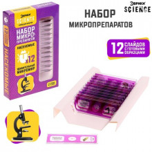 ЭВРИКИ Набор для опытов "Набор микропрепаратов", насекомые 7670833 Иу Йоуда Импорт энд Экспорт Ко., ЛТД