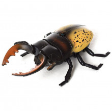 Игрушка-жук на дистанционном управлении 9996e-f Best Fun Toys