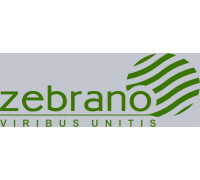 Zebrano Zebrano